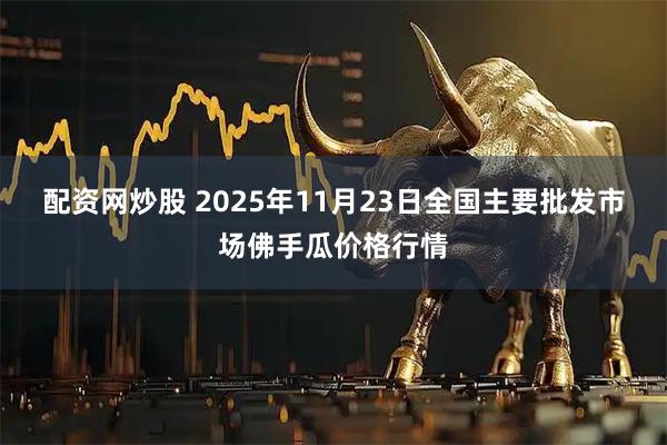 配资网炒股 2025年11月23日全国主要批发市场佛手瓜价格行情