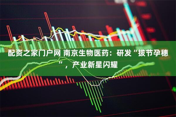 配资之家门户网 南京生物医药：研发“拔节孕穗”，产业新星闪耀