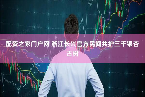 配资之家门户网 浙江长兴官方民间共护三千银杏古树