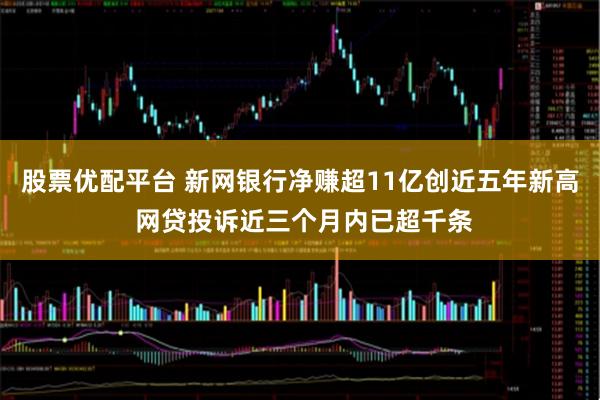 股票优配平台 新网银行净赚超11亿创近五年新高 网贷投诉近三个月内已超千条